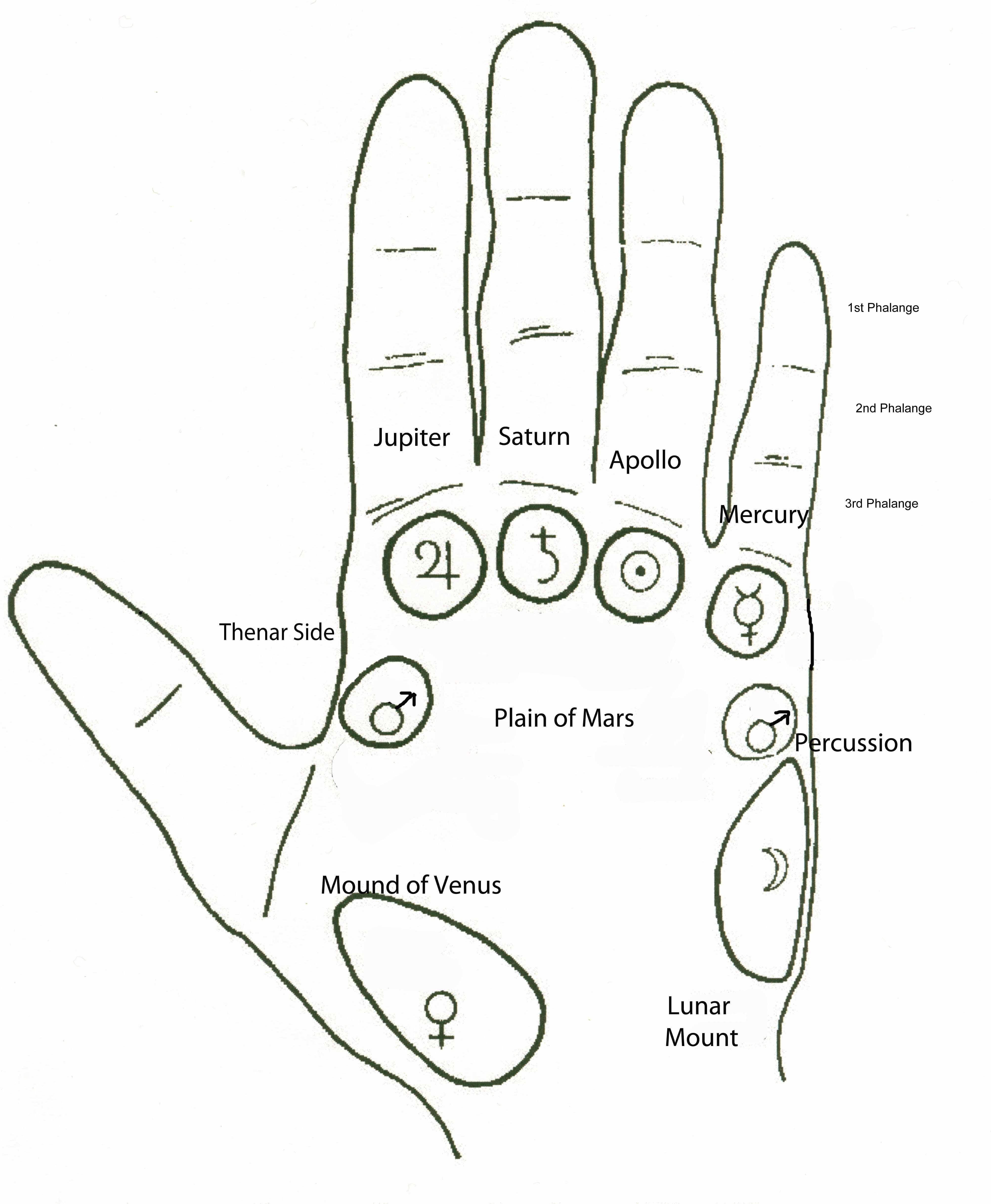 palm reading guide fate line