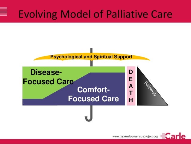a model to guide hospice palliative care 2013