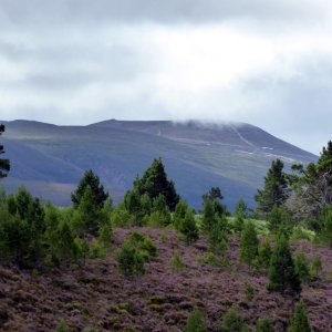 hf guided walks in scotland