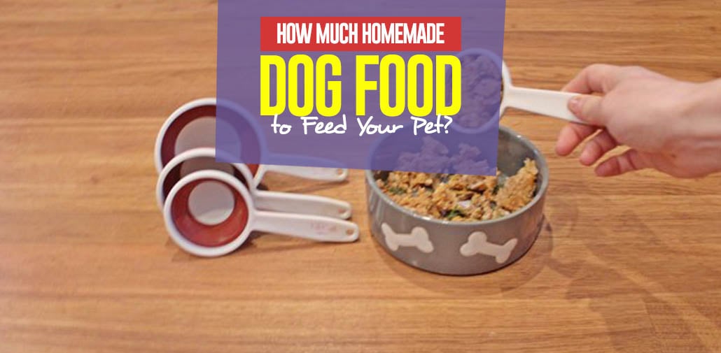 artemis dog food feeding guide