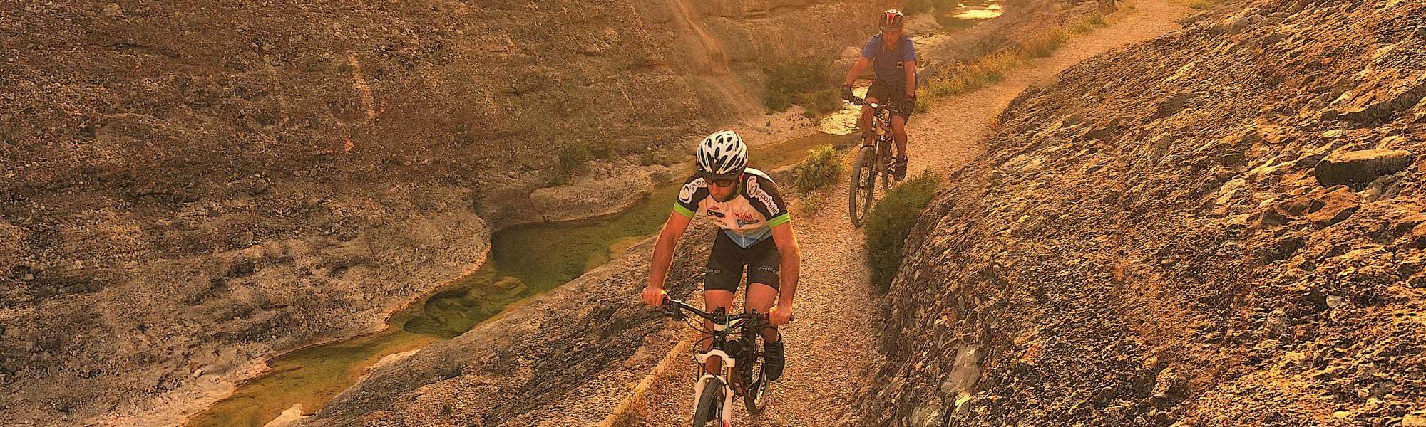 guided mountain bike tours france