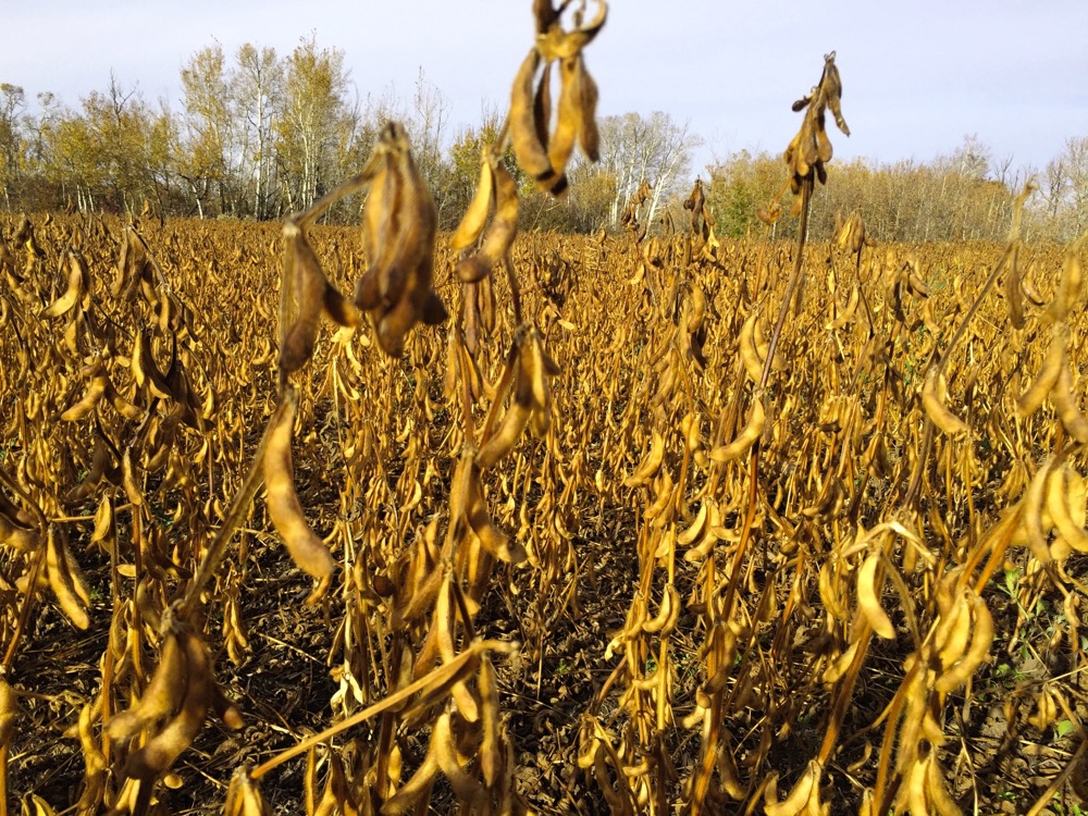 prairie provinces certified crop advisor study guide